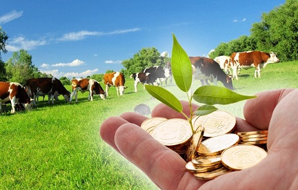 Новое в государственной поддержке сельхозтоваропроизводителей