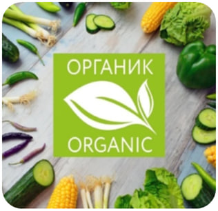 Информационно-правовое сопровождение