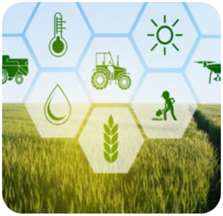 Экспертная поддержка и консалтинг