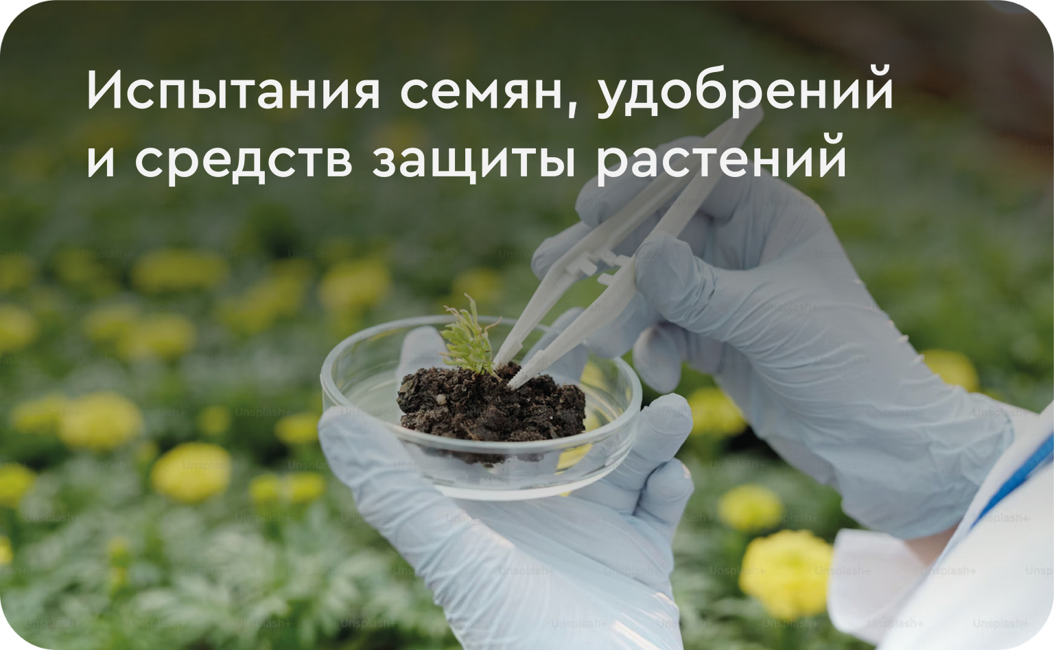 услуги на сайт2