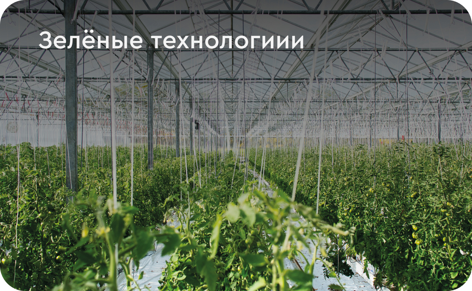 Зеленые технологии